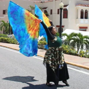 Worship Wings Flex Flags (Sections)